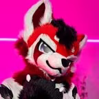Arco Husky