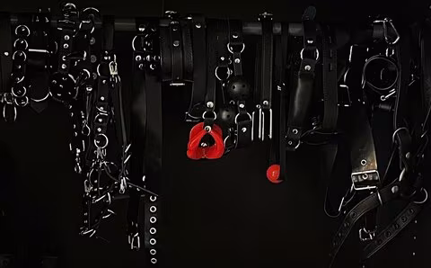 Mistress Sasha Steele